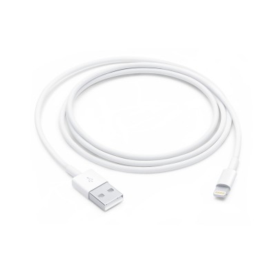 CABLE LIGHTNING VERS USB APPLE - 1M